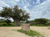 Fahrt zum Tarangire Nationalpark