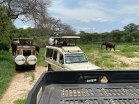 Safari im Tarangire Nationalpark