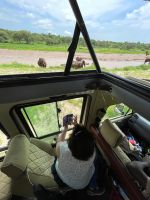 Safari im Tarangire Nationalpark