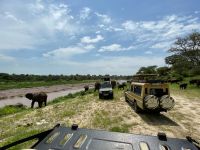 Safari im Tarangire Nationalpark