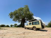 Safari im Tarangire Nationalpark
