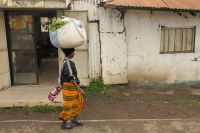 Fahrt zum Tarangire Nationalpark