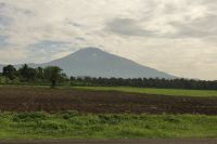 Fahrt zum Tarangire Nationalpark