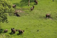 Safari im Tarangire Nationalpark