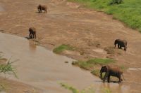 Safari im Tarangire Nationalpark