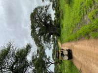 Safai im Tarangire Nationalpark