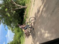 Fahrt zum Lake Manyara Nationalpark