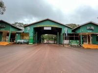 Safari im Ngorogoro Krater