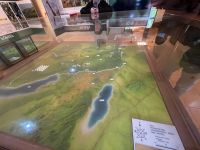 Safari im Ngorogoro Krater