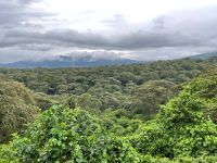 Safari im Ngorogoro Krater