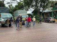 Safari im Ngorogoro Krater