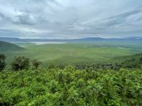 Safari im Ngorogoro Krater