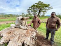 Safari im Ngorogoro Krater