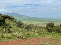 Safari im Ngorogoro Krater