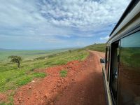 Safari im Ngorogoro Krater