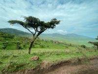 Safari im Ngorogoro Krater