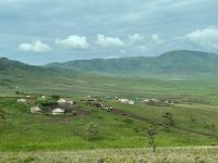 Safari im Ngorogoro Krater
