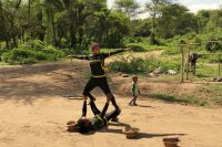 Safari im Lake Manyara Nationalpark