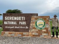 Safari im Serengeti Nationalpark