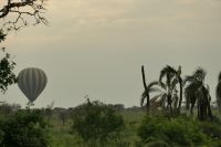 Safari im Serengeti Nationalpark