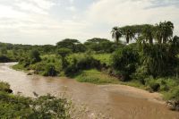 Safari im Serengeti Nationalpark