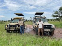 Safari im Serengeti Nationalpark