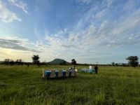 Safari im Serengeti Nationalpark