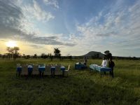 Safari im Serengeti Nationalpark