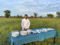 Safari im Serengeti Nationalpark