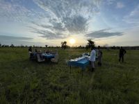 Safari im Serengeti Nationalpark