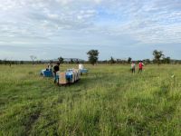 Safari im Serengeti Nationalpark