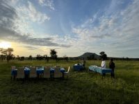 Safari im Serengeti Nationalpark