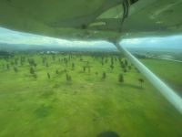 Weiterflug vom Serengeti Nationalpark nach Sansibar