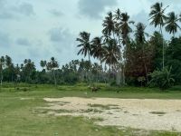 Willkommen auf Sansibar 