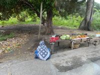 Willkommen auf Sansibar 