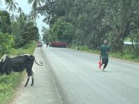 Willkommen auf Sansibar 