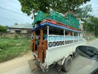 Fahrt nach Kizimbani zur Gewürzfarm 