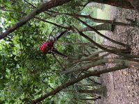 Rundgang auf der Gewürzfarm 