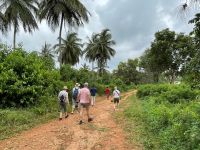 Rundgang auf der Gewürzfarm 