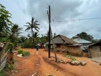 Rundgang auf der Gewürzfarm 