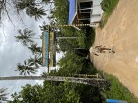 Rundgang im Jozane Regenwald