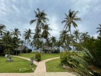 Rundgang im Jozane Regenwald/Mangrovenwald