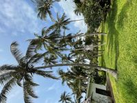 Unser Hotel - Bluebay Beach Resort and Spa