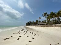 Unser Hotel - Bluebay Beach Resort and Spa