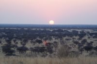 14 Sundowner Otjiwa Lodge