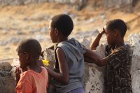 47 Kinder am Wasserloch