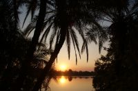 105 Sonnenaufgang am Okavango