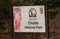 196 Chobe NP Botswana