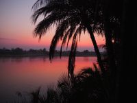 Sonnenaufgang am Okavango