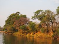 Okavango im Sonnenuntergang